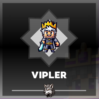VIP Kategorisi